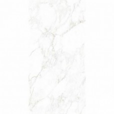 Керамогранит Матовая Marmo NTT99526M Marble Extra Endless 120x60 9мм белый NT Ceramic Керамогранит Матовая Marmo NTT99526M Marble Extra Endless 120x60 9мм белый NT Ceramic