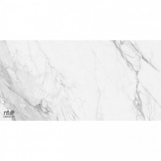 Керамогранит глянцевая Marmo NTT99528P Artic Statuario Glossy 120x60 9мм  белый NT Ceramic