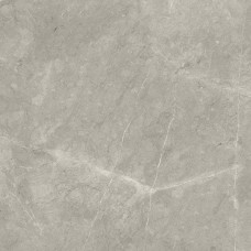 Керамогранит полированная Bright and Shiny BB6NTT9102P 60x60 9.5мм  серый NT Ceramic