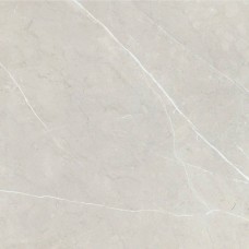 Керамогранит полированная Bright and Shiny BB6NTT9101P 60x60 9.5мм  серый NT Ceramic