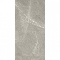 Керамогранит полированная Bright and Shiny BB612NTT9102P 120x60 10.5мм  серый NT Ceramic