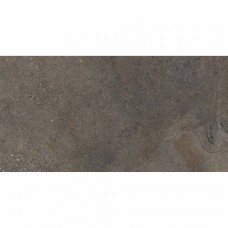 Керамогранит матовая Axion NTTHS99806D Cold Saturn 4D 120x60 8.5мм  коричневый NT Ceramic