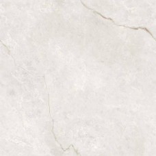 Керамогранит полированная OC0000223 Infinity Venetian Blanco Glossy 60x60 9мм  белый Ocean ceramic