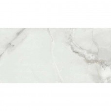 Керамогранит глянцевая Fenix 004.869.0002.00909 Gris 120x60 11мм  серый Pamesa