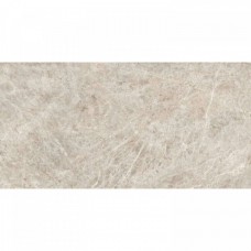 Керамогранит глянцевая Taj Mahal 004.869.0001.14164 Pulido Rect 120x60 10.5мм  серый Pamesa