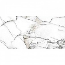 Керамогранит полированная Premiere 32908 White Ep 120x60 9мм белый Peronda Керамогранит полированная Premiere 32908 White Ep 120x60 9мм белый Peronda