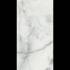 Керамогранит полированная UKFQ-1223 120x60 8мм белый Planet Ceramics Керамогранит полированная UKFQ-1223 120x60 8мм белый Planet Ceramics