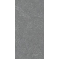 Керамогранит матовая XDTDT11213MG matt 120x60 11мм серый Planet Ceramics Керамогранит матовая XDTDT11213MG matt 120x60 11мм серый Planet Ceramics