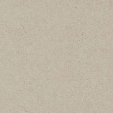 Керамогранит глянцевая NG106 Ассара Песочный Glossy 60x60 9мм  бежевый Primavera