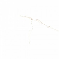 Керамогранит лаппатированная Bianco Mare Gold Luxglass Rect 120x60 10мм  белый Prissmacer