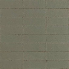 Керамогранит глянцевая Glace RAEX Muschio Glossy 20x8 9мм  зеленый Ragno