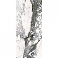 Керамогранит полированная The Wild Spirit 500867 Calacatta Renoir Lx Rt 119x60 9мм  белый Roberto Cavalli