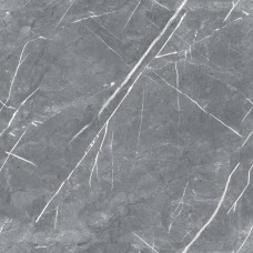 Керамогранит глянцевая R_PR1019 Carnico Grey Polished 60x60 9мм  серый Royce