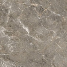 Керамогранит глянцевая R_PR1023 Olympia Grey Polished 60x60 9мм  серый Royce