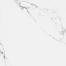 Керамогранит глянцевая R_PR1004 Carrara Marmo Polished 60x60 9мм  белый Royce