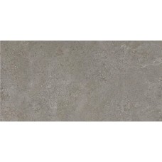 Керамогранит матовая Arenite CAN5AREIDD5A Dark Grey MT 120x60 10мм  серый STN Ceramica