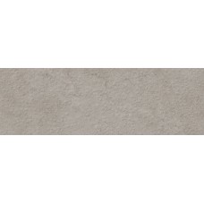 Керамическая плитка матовая Portwall 031.627.0408.15504 Rlv. Bloom Greige Mate Rect 100x33 7мм  серый TAU Ceramica