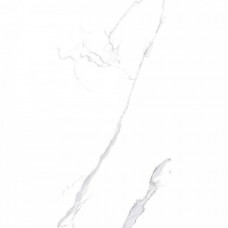 Керамогранит матовая White Marble R63WMST Statuario Rett. 122x61 9.5мм белый Tuscania Ceramiche Керамогранит матовая White Marble R63WMST Statuario Rett. 122x61 9.5мм белый Tuscania Ceramiche