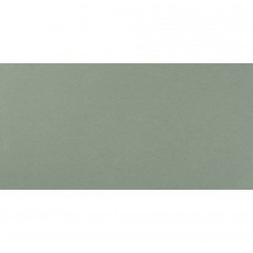 Керамическая плитка матовая Arkshade 8AKF Sage 80x40 9мм  зеленый Atlas Concorde