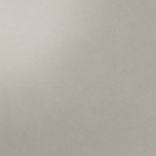 Керамогранит лаппатированная Arkshade AUGG Grey Lappato 60x60 8мм  серый Atlas Concorde