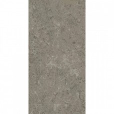 Керамогранит лаппатированная Marvel Meraviglia AJHW Grigio Elegante Lapp 120x60 9мм  серый Atlas Concorde