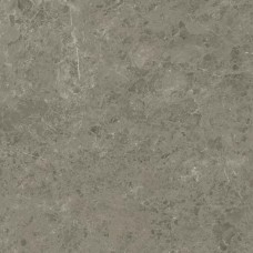 Керамогранит лаппатированная Marvel Meraviglia AJIF Grigio Elegante Lapp 120x120 9мм серый Atlas Concorde Керамогранит лаппатированная Marvel Meraviglia AJIF Grigio Elegante Lapp 120x120 9мм серый Atlas Concorde