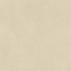 Керамогранит матовая Boost Natural Pro AQ9V Oat Matt 60x60 9мм  бежевый Atlas Concorde