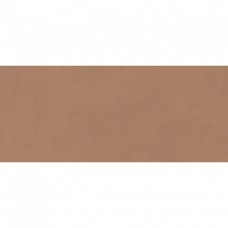 Керамическая плитка матовая Boost Expression AYR9 Sienna Matte 120x50 8.5мм коричневый Atlas Concorde Керамическая плитка матовая Boost Expression AYR9 Sienna Matte 120x50 8.5мм коричневый Atlas Concorde