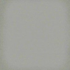 Керамогранит матовая 1900 Jade 20x20 8мм  серый Vives