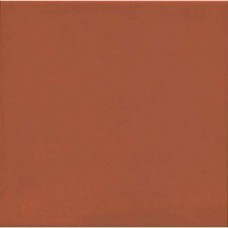 Керамогранит матовая 1900 Rojizo G.136 20x20 8мм  бордовый Vives
