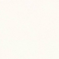 Керамогранит матовая Alameda -R Nacar 20x20 8мм  белый Vives