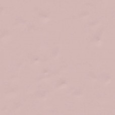 Керамическая плитка глянцевая Paola Rosa-B 20x20 7.6мм  розовый Vives
