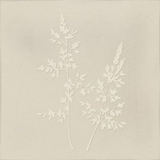 Декор матовая Root 348G Arvum-4 Pearl 13x13 10мм  бежевый Vives