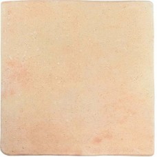 Керамогранит матовая Roots 128197 L Sand 22x22 10мм  бежевый WOW