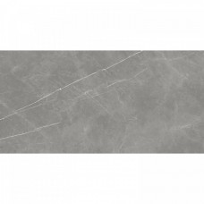 Керамогранит матовая Forte dei Marmi 610010002710 Elegant Grey Rett / Форте Де Марми Элегант Грей Ретт 160x80 9мм  серый Atlas Concorde Russia