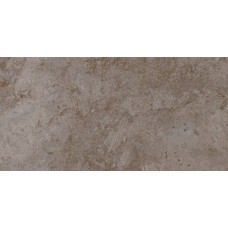 Керамическая плитка матовая Бианор TP3619BM серый ректификат 60x30 8.5мм  Тянь-Шань