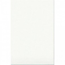 Керамическая плитка глянцевая Белая 10101003545 Премиум 30x20 8мм  белый Шахтинская плитка