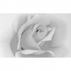 Декор глянцевая Камелия 10301001885 Черн 02 40x25 9мм  белый Шахтинская плитка