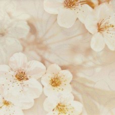 Декор глянцевая Сакура 10301001875 Коричневый 04 40x25 9мм  белый Шахтинская плитка