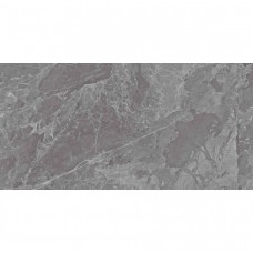 Керамическая плитка глянцевая Флорида Серая 50x25 9мм  серый Axima
