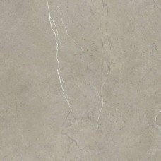 Керамическая плитка матовая Salvador 00-00110065 Beige 42x42 10мм  бежевый Azori