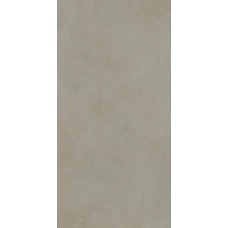 Керамогранит матовая Alterego PF60016436 Mud Nat Rett 120x60 8.5мм  серый ABK