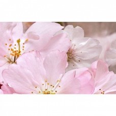 Декор глянцевая Букет 09-01-41-663 40x25 9мм  розовый Belleza