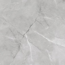 Керамогранит полированная Armani Silver AB 1143G 60x60 10мм  серый Absolut Gres