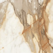 Керамогранит полированная Borgini Gold AB 1059G Gloss 60x60 10мм  бежевый Absolut Gres