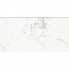 Керамогранит полированная Carrara AB 1112G Classic Gloss 120x60 10мм белый Absolut Gres Керамогранит полированная Carrara AB 1112G Classic Gloss 120x60 10мм белый Absolut Gres