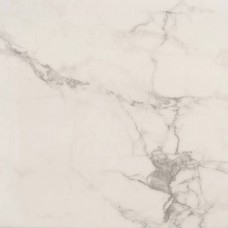 Керамогранит полированная Carrara AB 1095G White Gloss 60x60 10мм  белый Absolut Gres