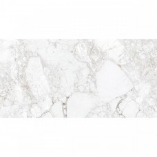 Керамогранит полированная Rossalia Natural AB 1171G Gloss 120x60 10мм  белый Absolut Gres