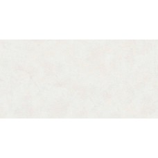 Керамогранит матовая Emma EVL4802M Fiore Base Matt 120x60 8.5мм  белый Buono Ceramica