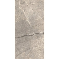 Керамогранит матовая Anima Futura AIAV Silver Liscio Matt 120x60 9мм  коричневый Caesar